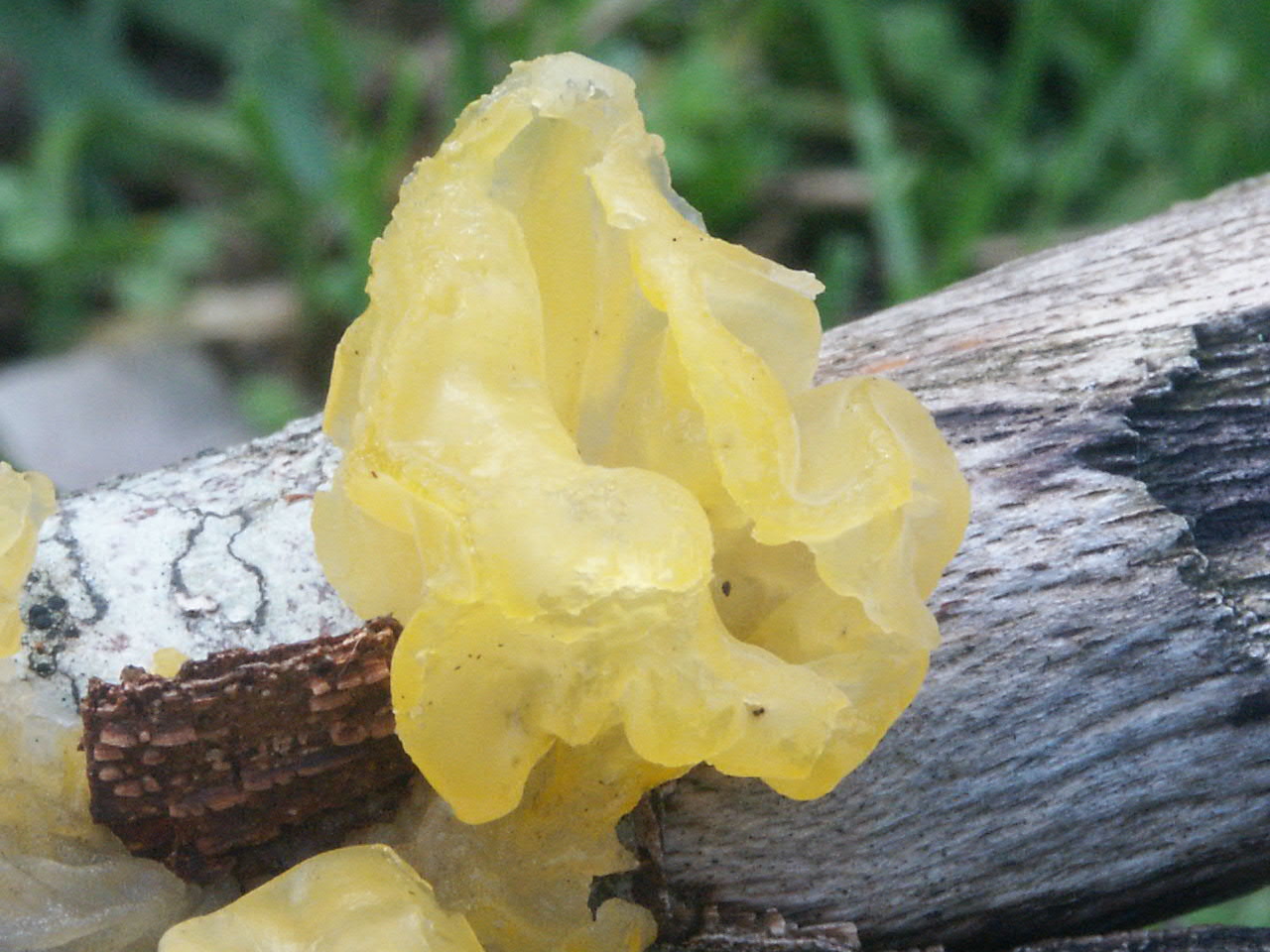 Strano autunno in sicilia